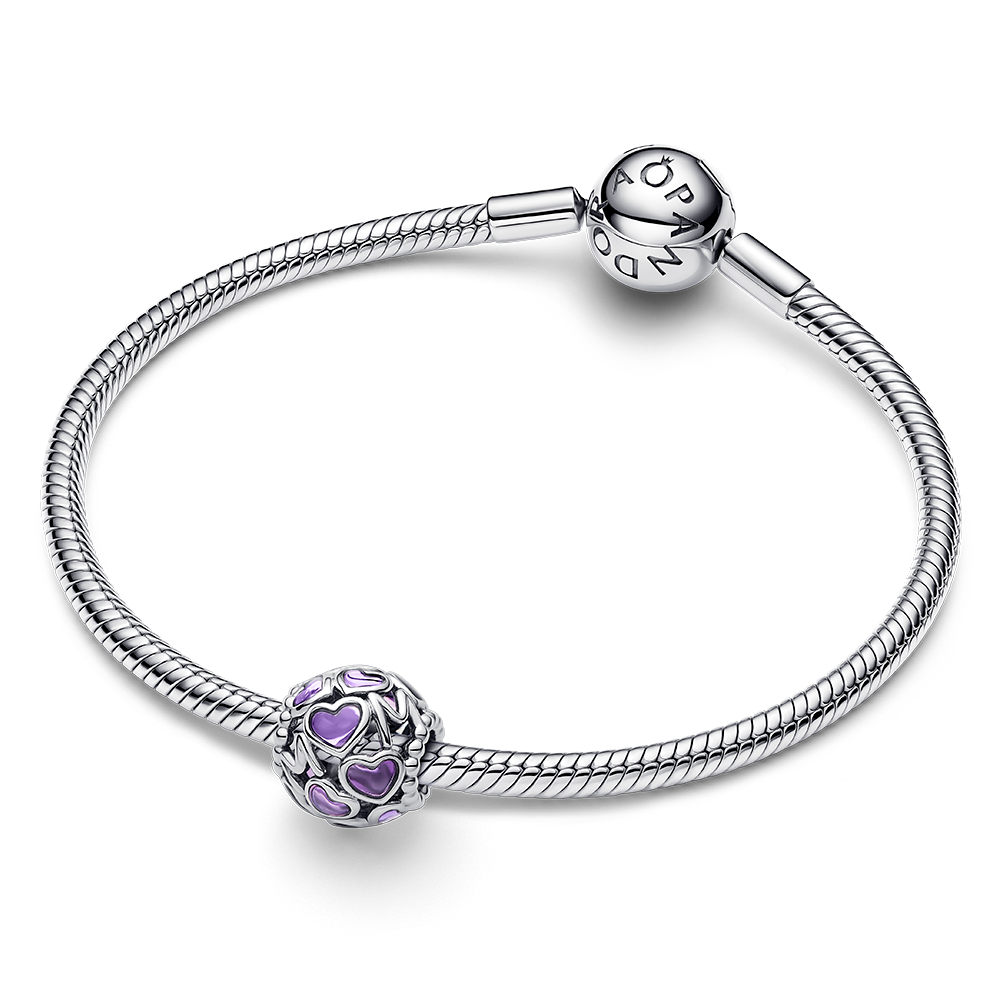 Pandora Moments Charm / 793772C01