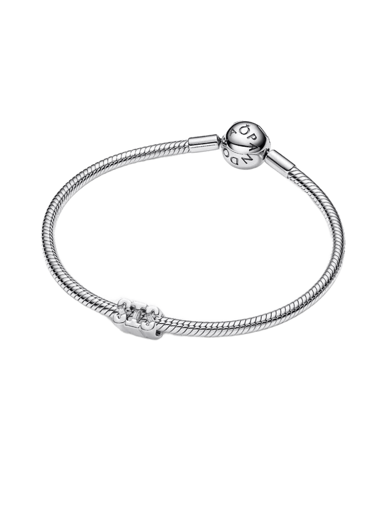 Pandora Moments Charm / 794454C01