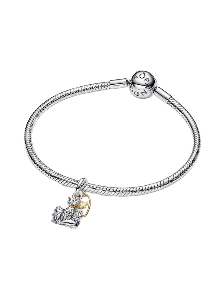 Pandora Disney Charm / 764465C01