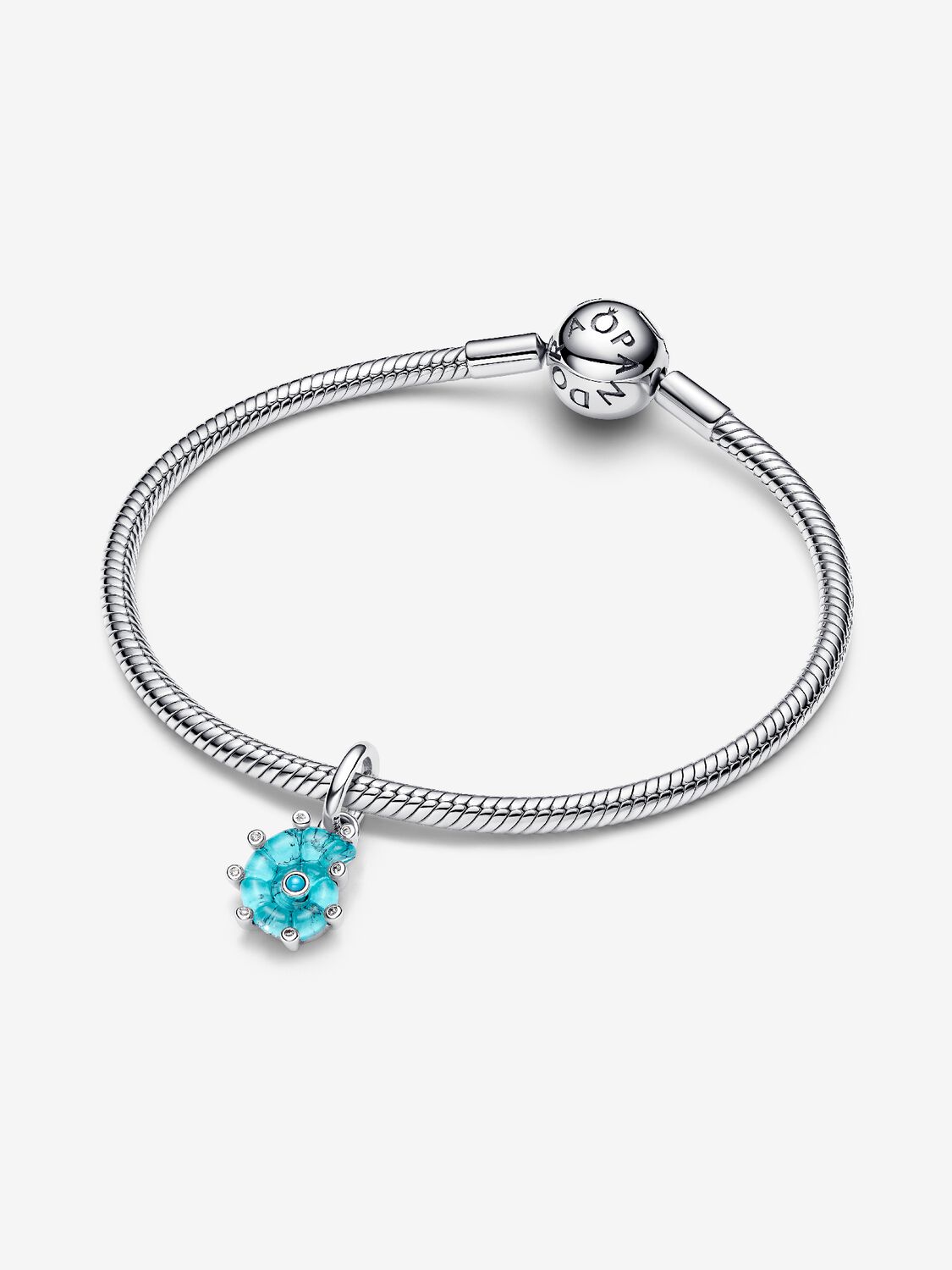 Pandora Moments Charm / 793900C01