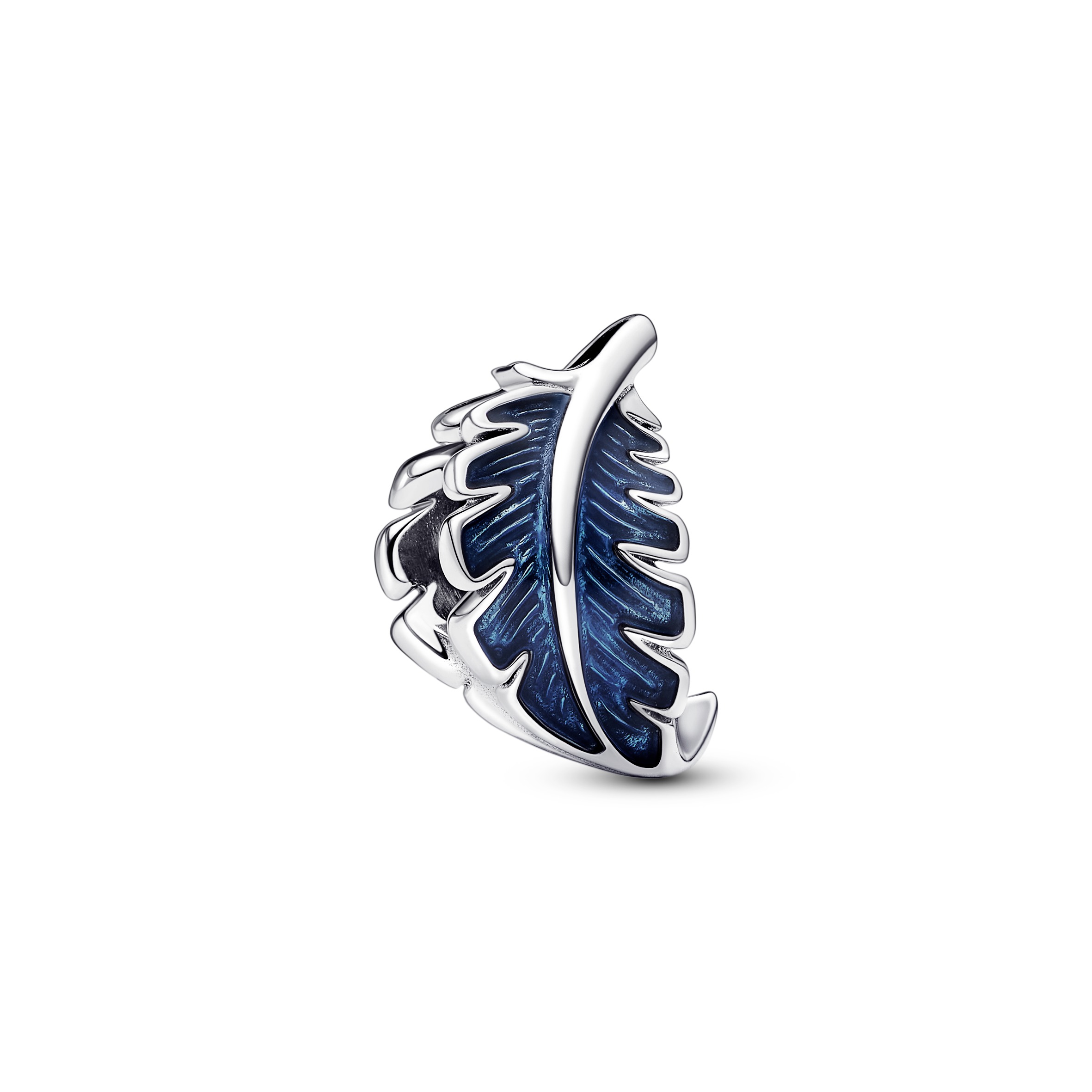 Charm/792576C01
