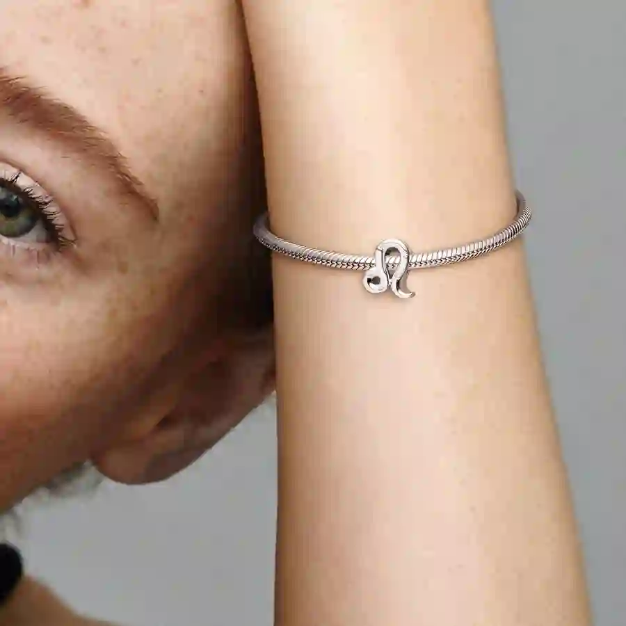 PANDORA Moments Charm / 798414C01
