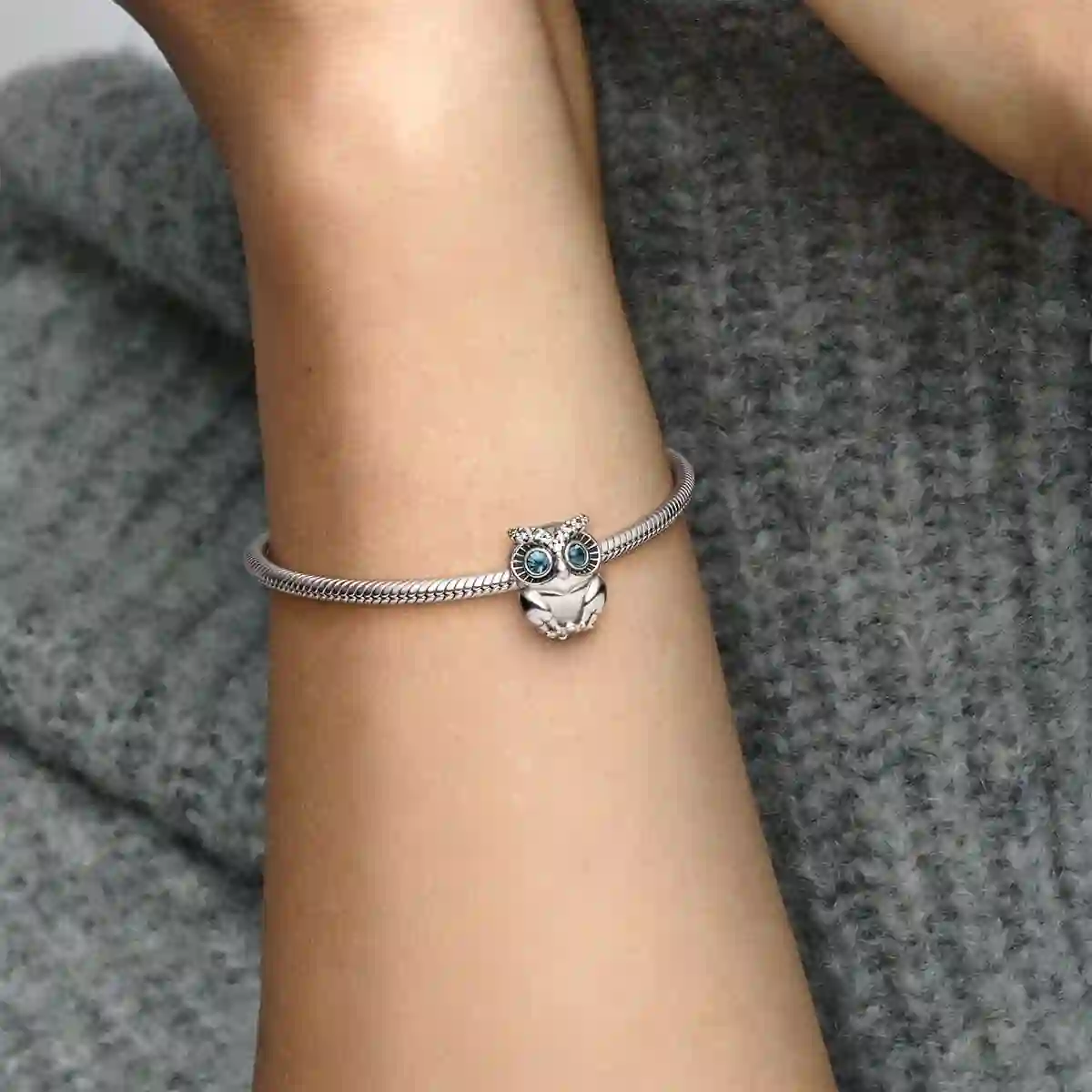 PANDORA Moments Charm / 798397NBCB