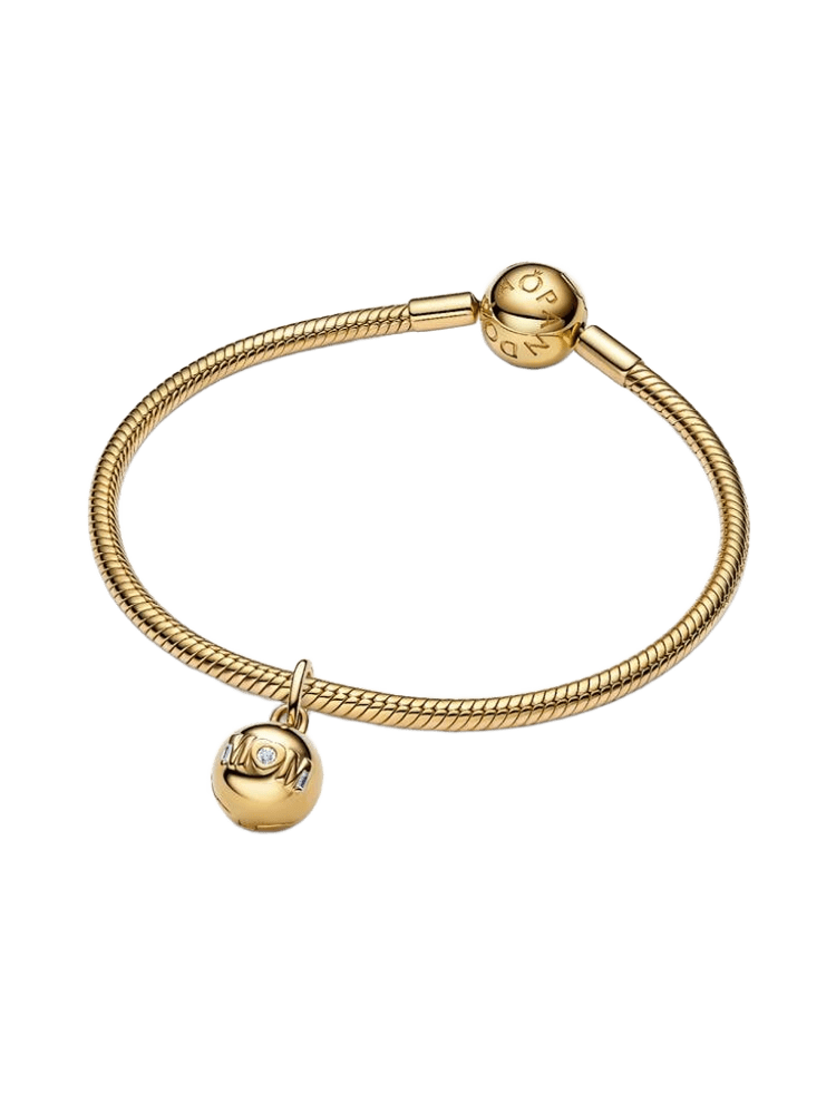 Pandora Moments Charm / 764457C01