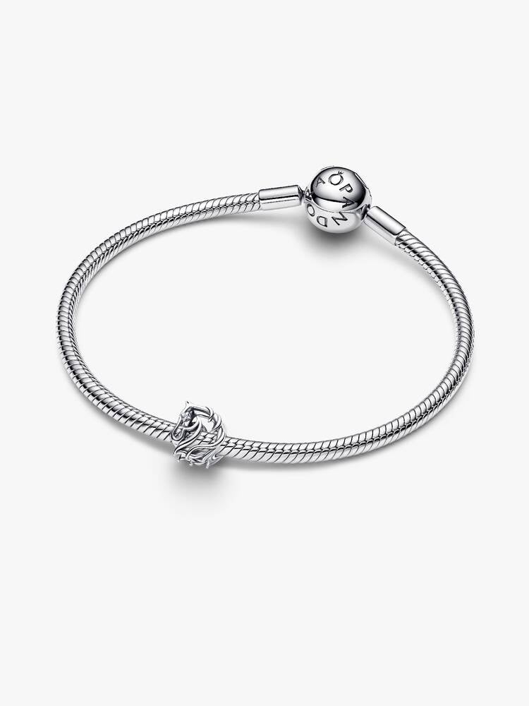 Pandora Moments Charm / 794430C01