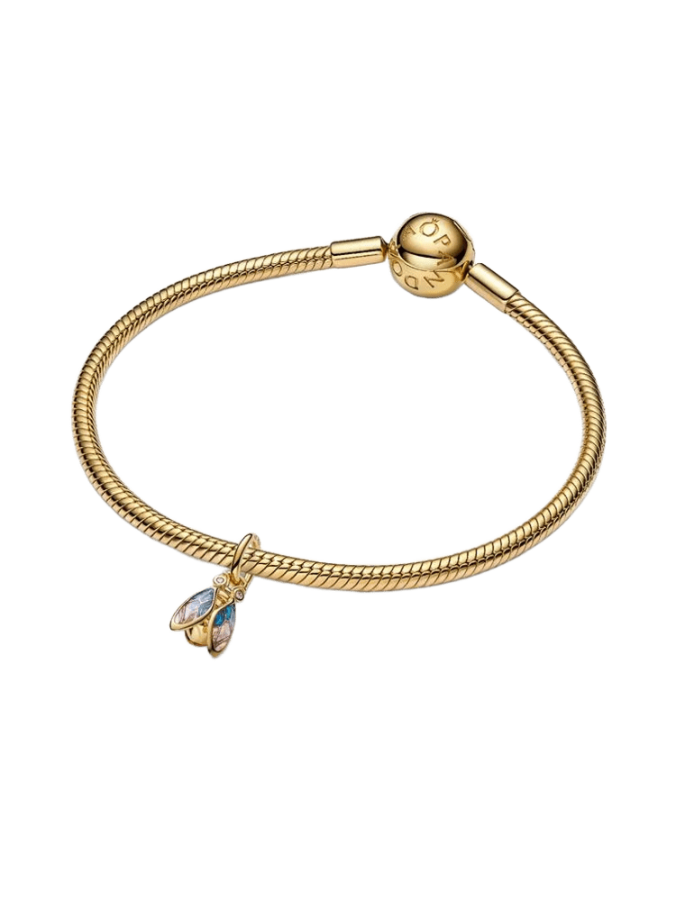 Pandora Moments Charm / 764490C01