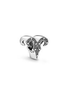 PANDORA Moments Charm / 798416C01