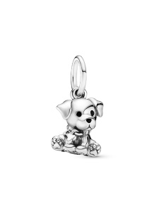 PANDORA Moments Charm / 798009EN16