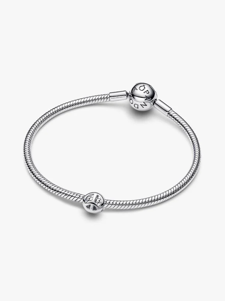 Pandora Moments Charm / 794512C00