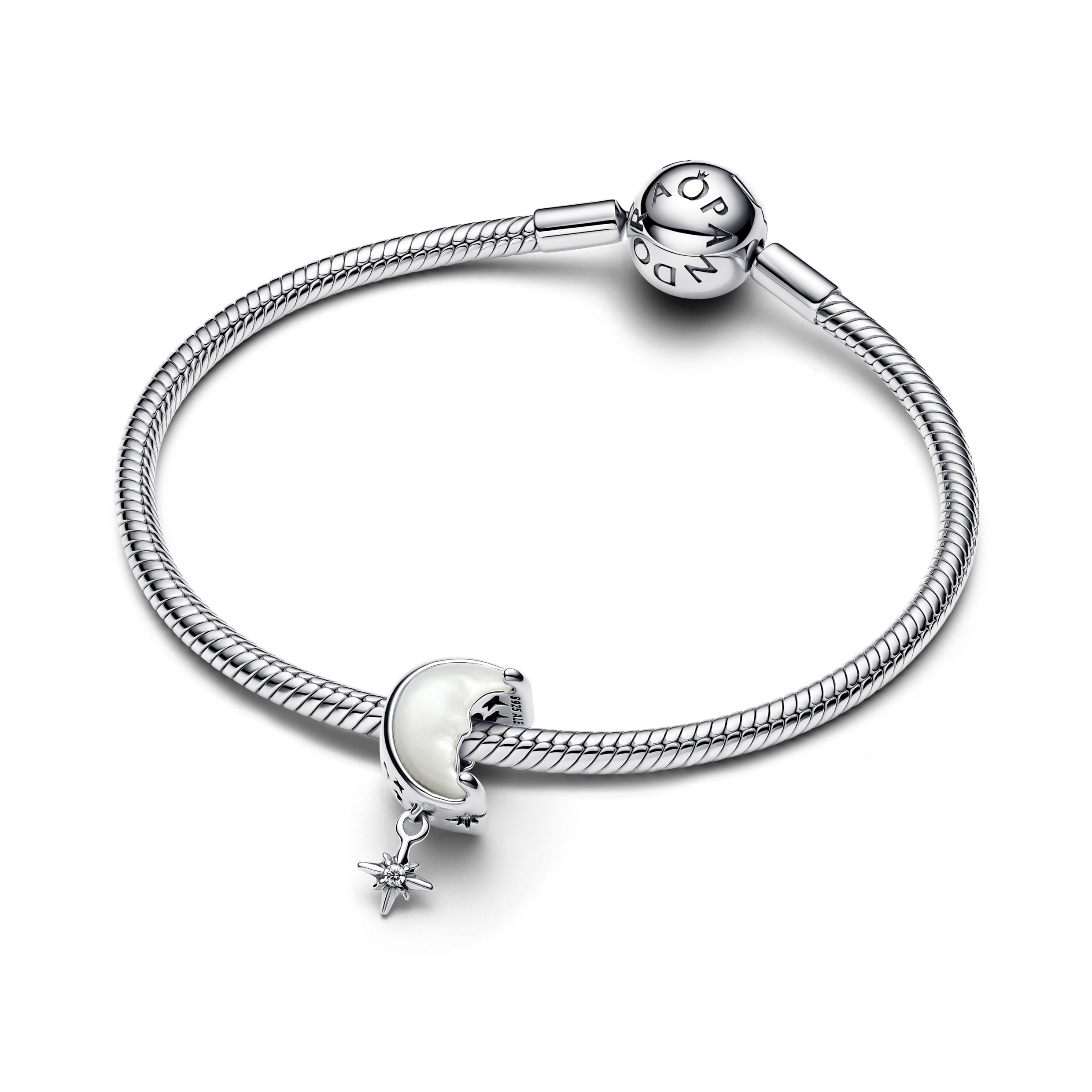 Pandora Moments Charm / 793594C01