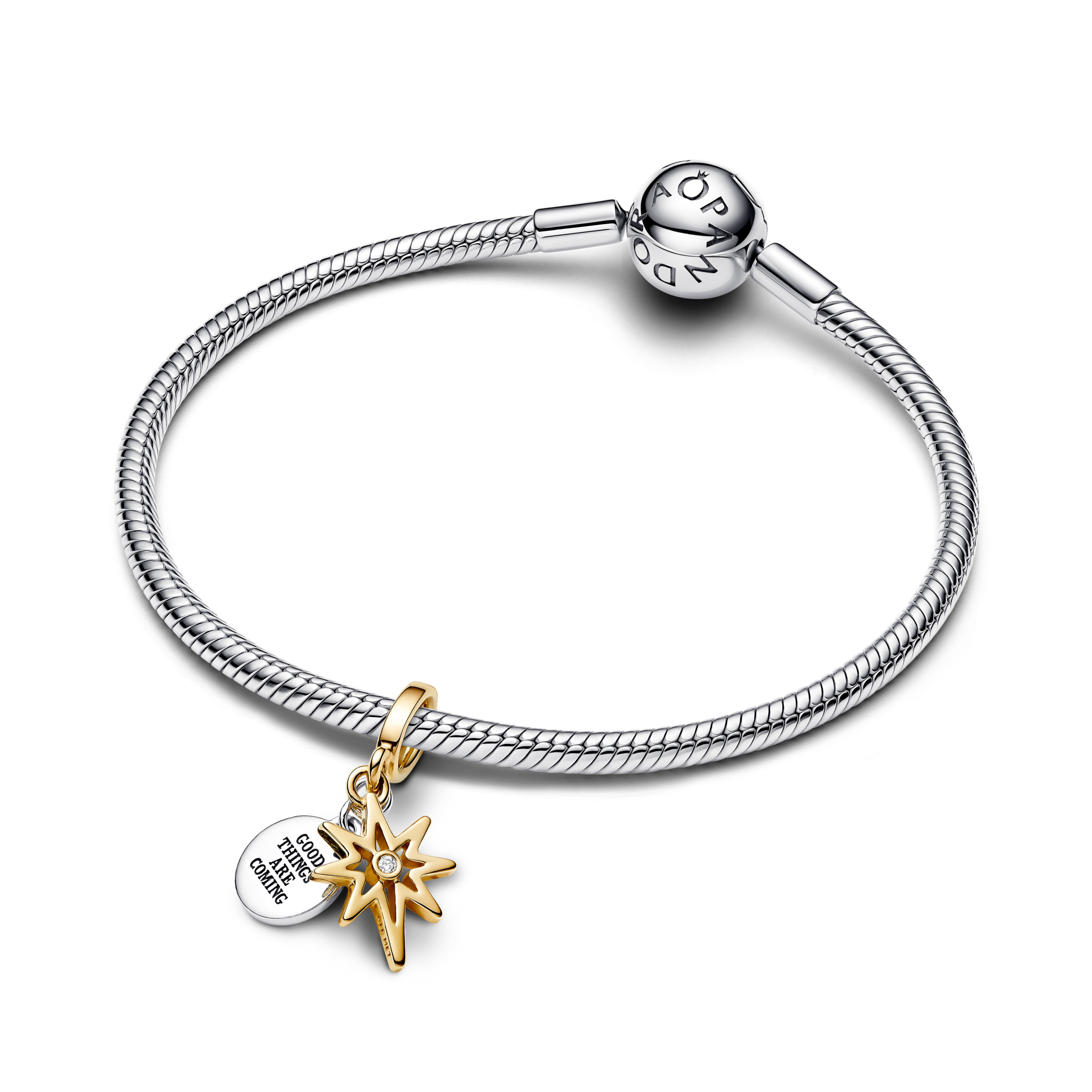 Pandora Moments Charm / 763588C01