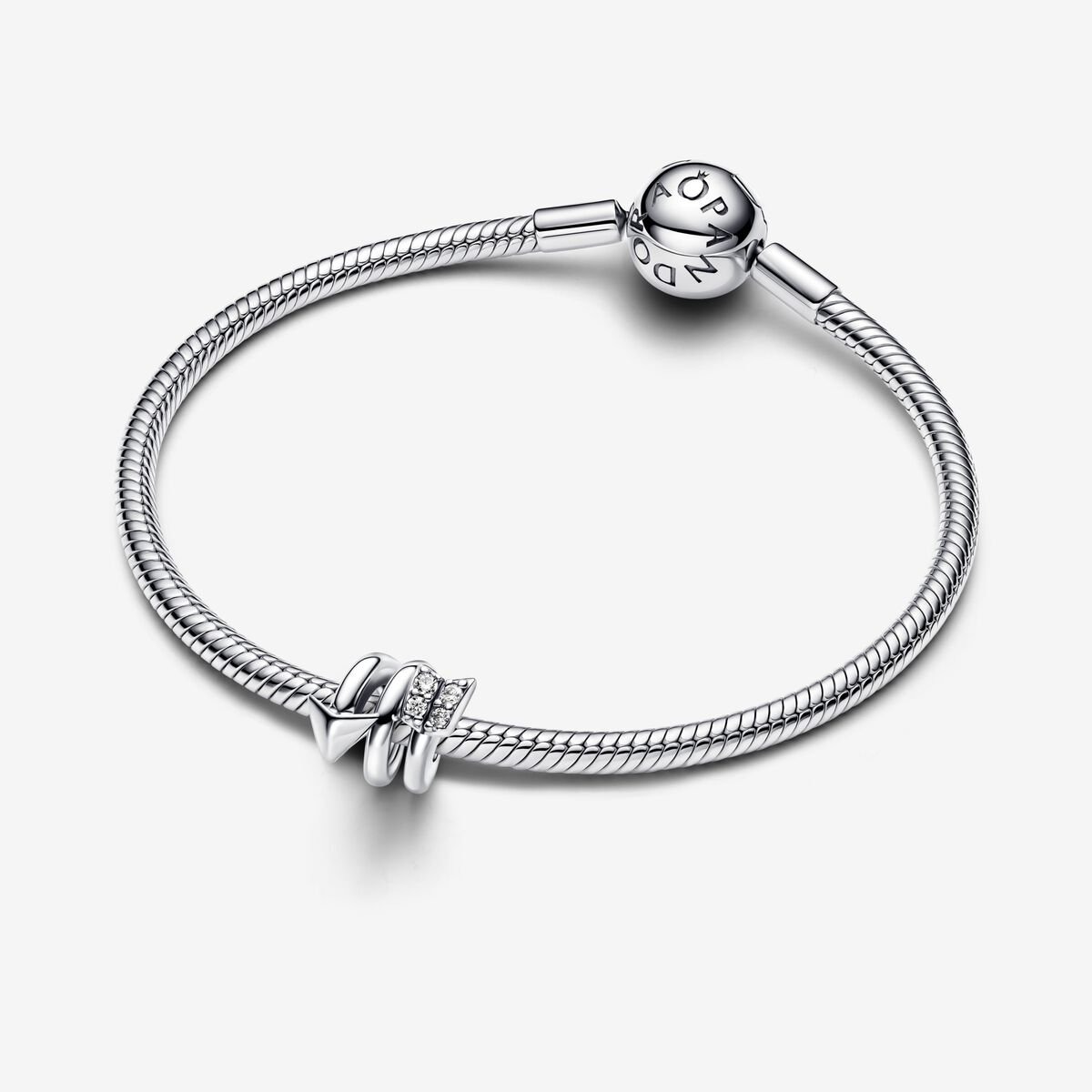 Pandora Moments Charm / 793665C01