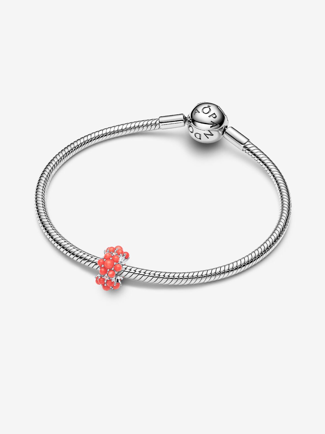 Pandora Moments Charm / 793897C01