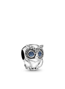 PANDORA Moments Charm / 798397NBCB