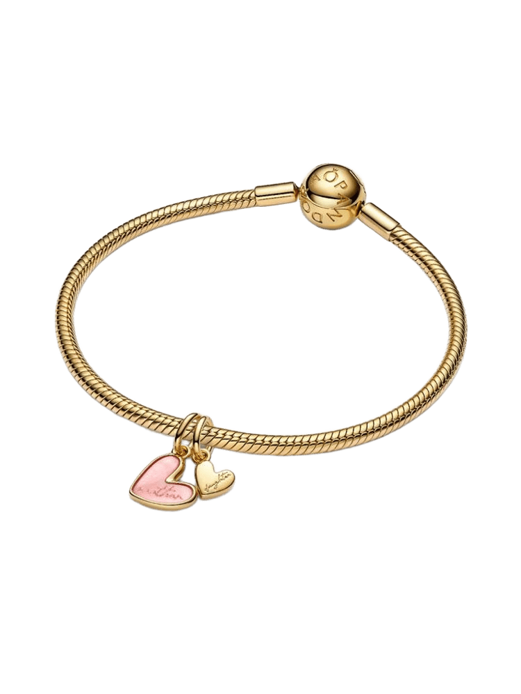 Pandora Moments Charm / 763766C01