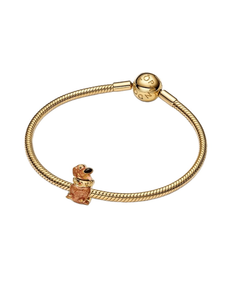 Pandora Disney Charm / 764472C01