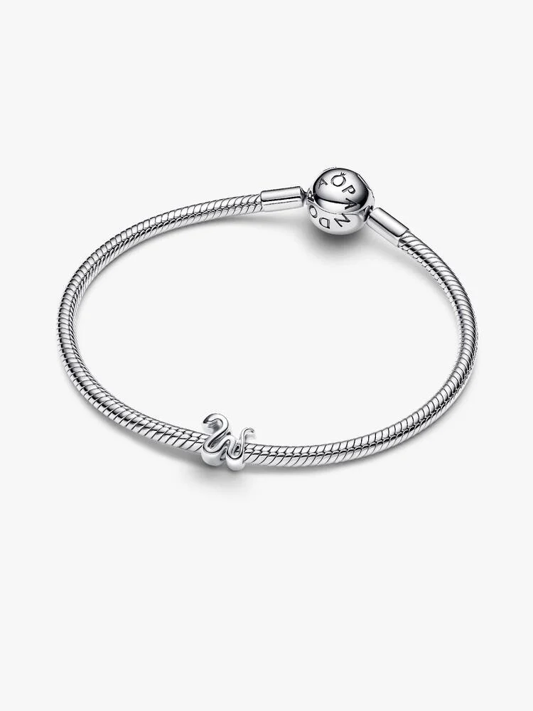 Pandora Moments Charm / 794520C00