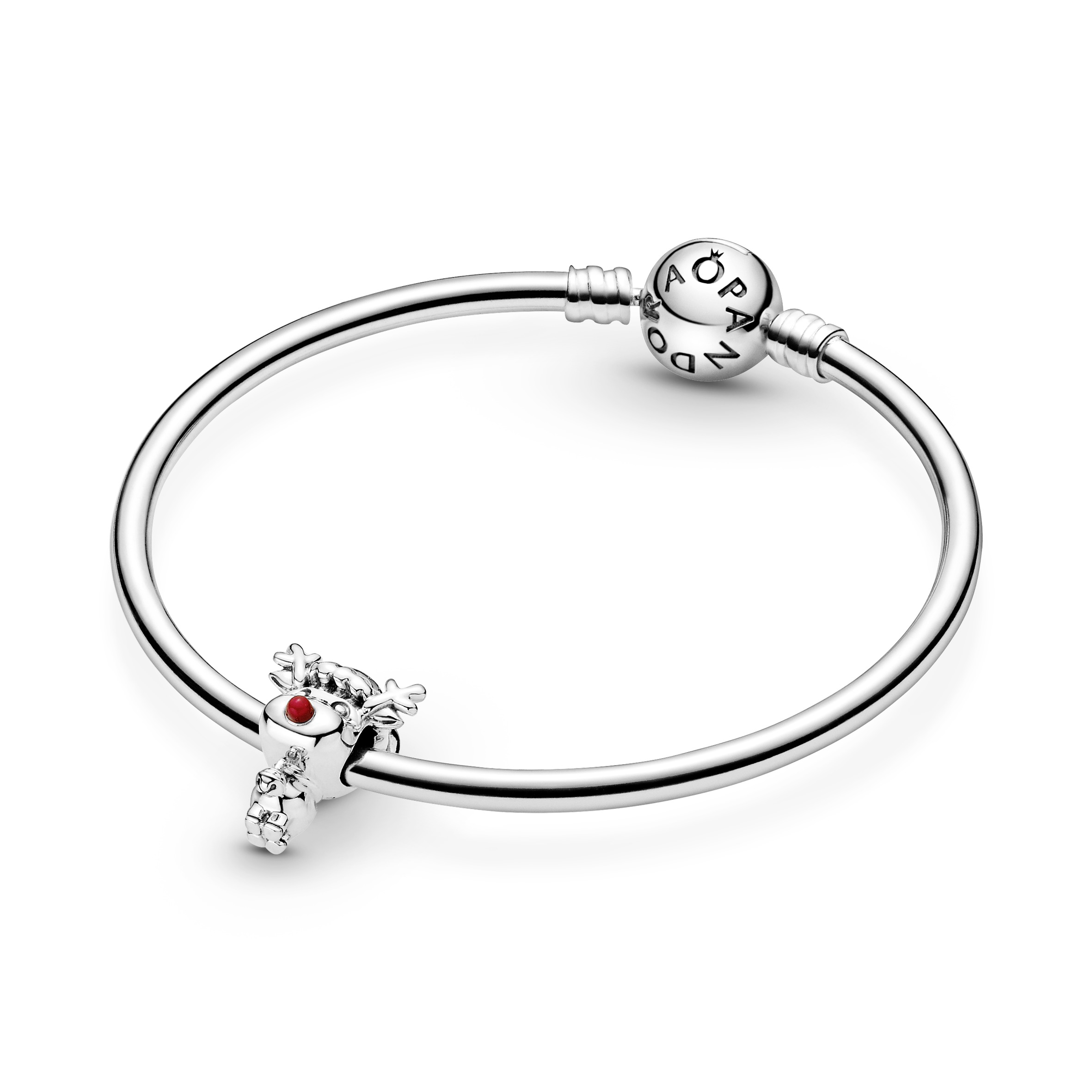 Moments Charm/799208C01