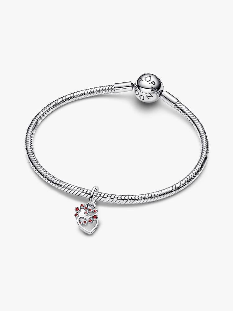 Pandora Moments Charm / 794435C01