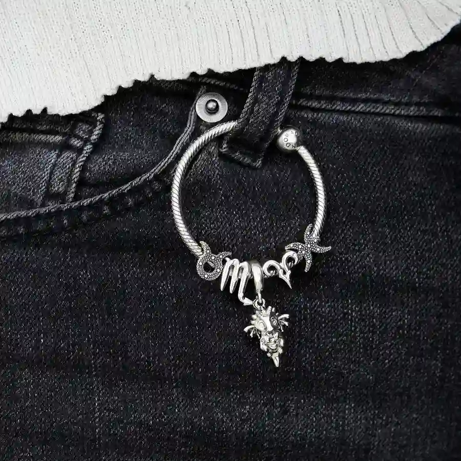 PANDORA Moments Charm / 798426C01
