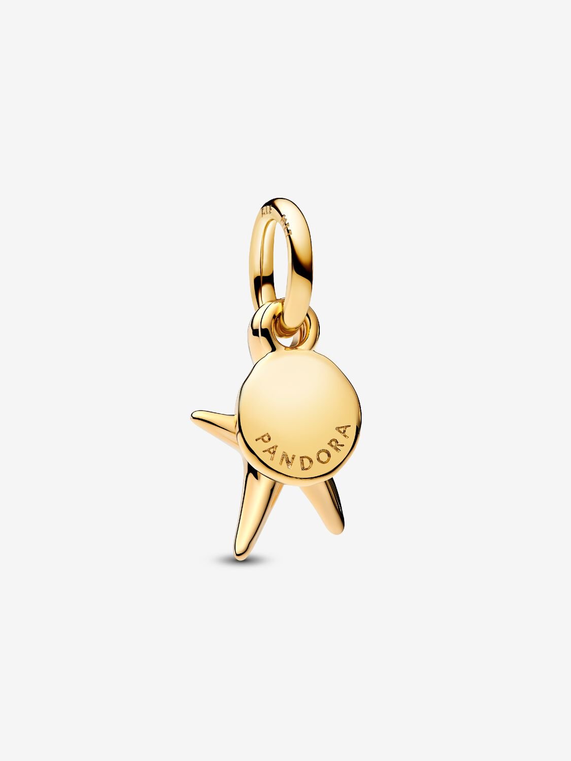 Pandora ME Charm / 763892C01