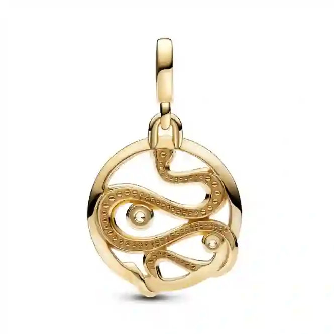 Charm / 762301C01