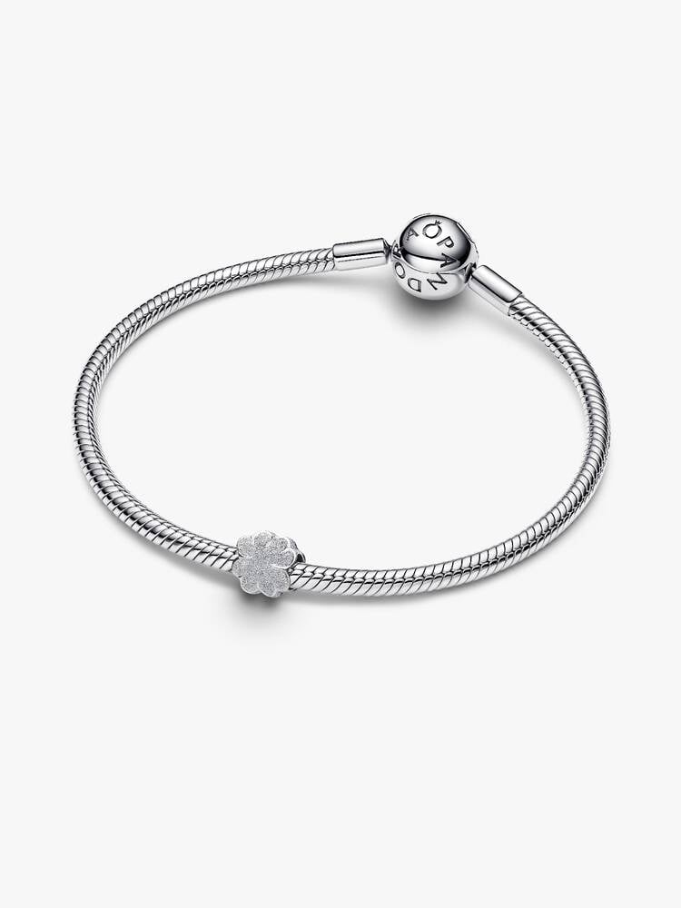 Pandora Moments Charm / 794047C00