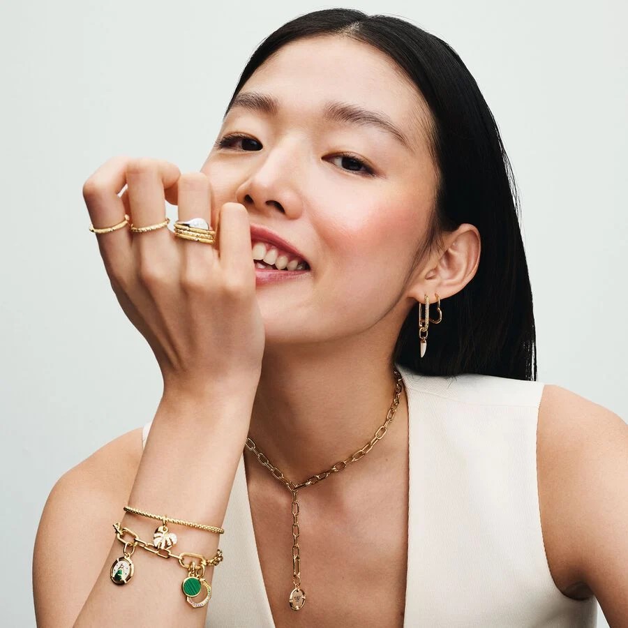 PANDORA Moments საყურეები / 268307C00