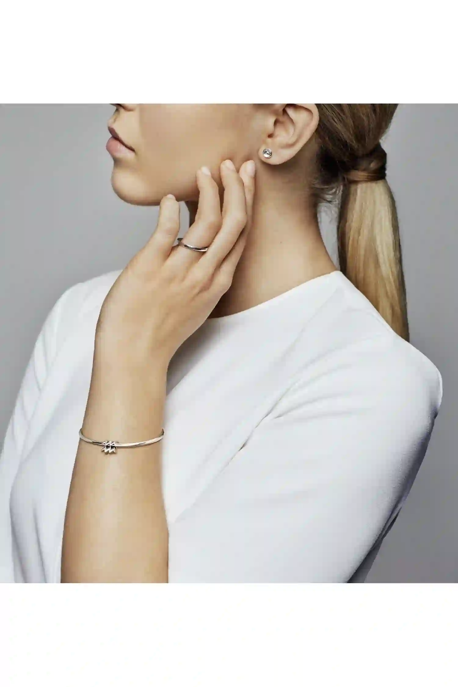 PANDORA Moments Charm / 798415C01