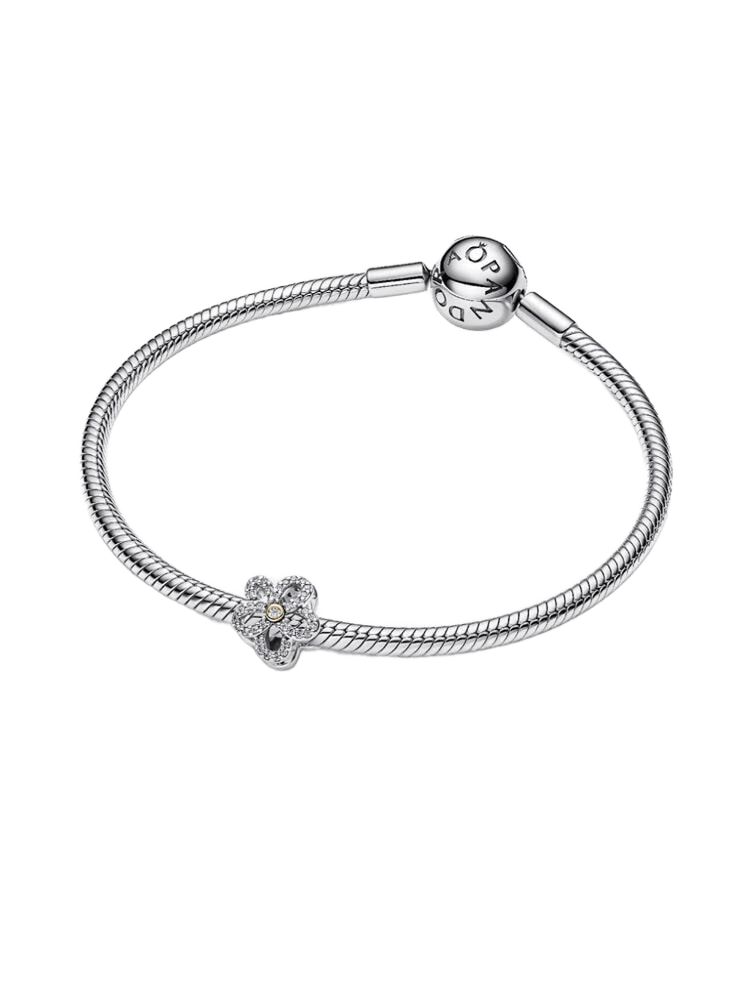 Pandora Moments Charm / 764480C01