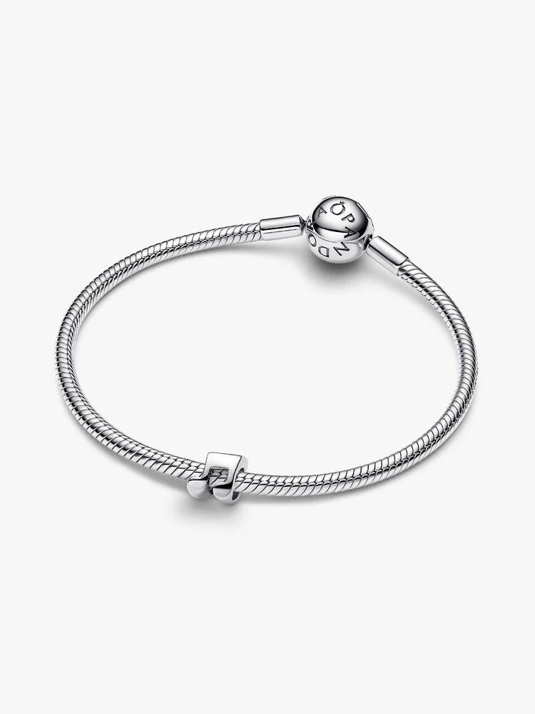Pandora Moments Charm / 794513C00