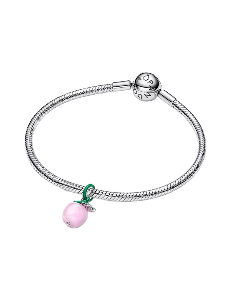 Pandora Moments Charm / 794485C01