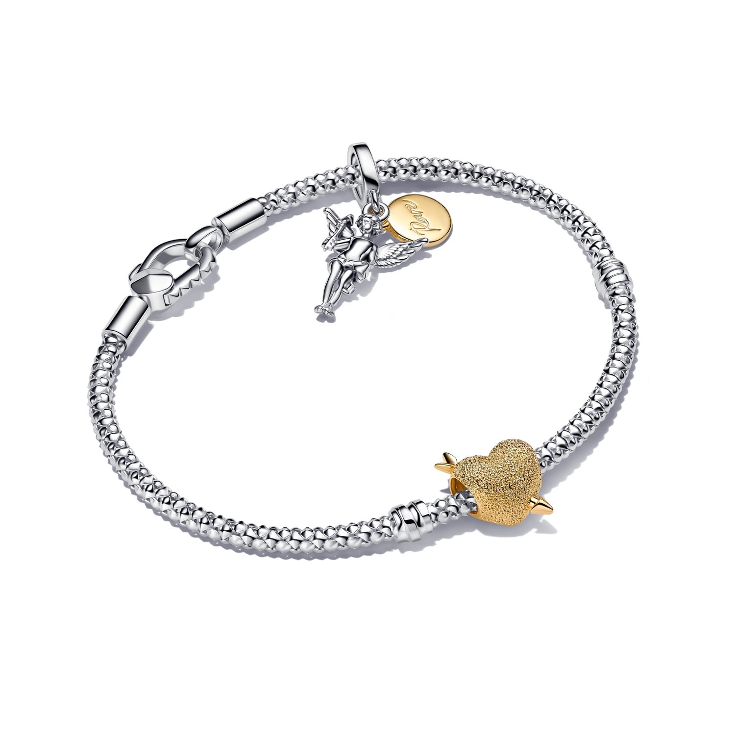 Pandora Moments Charm / 763663C00