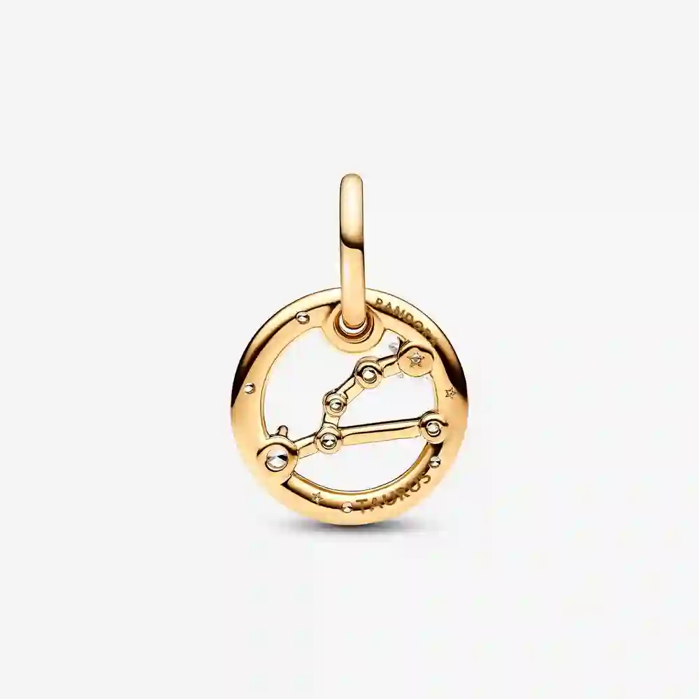 PANDORA Charm/762707C01