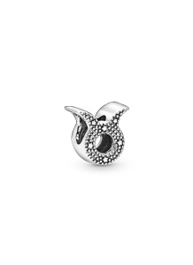 PANDORA Moments Charm / 798418C01