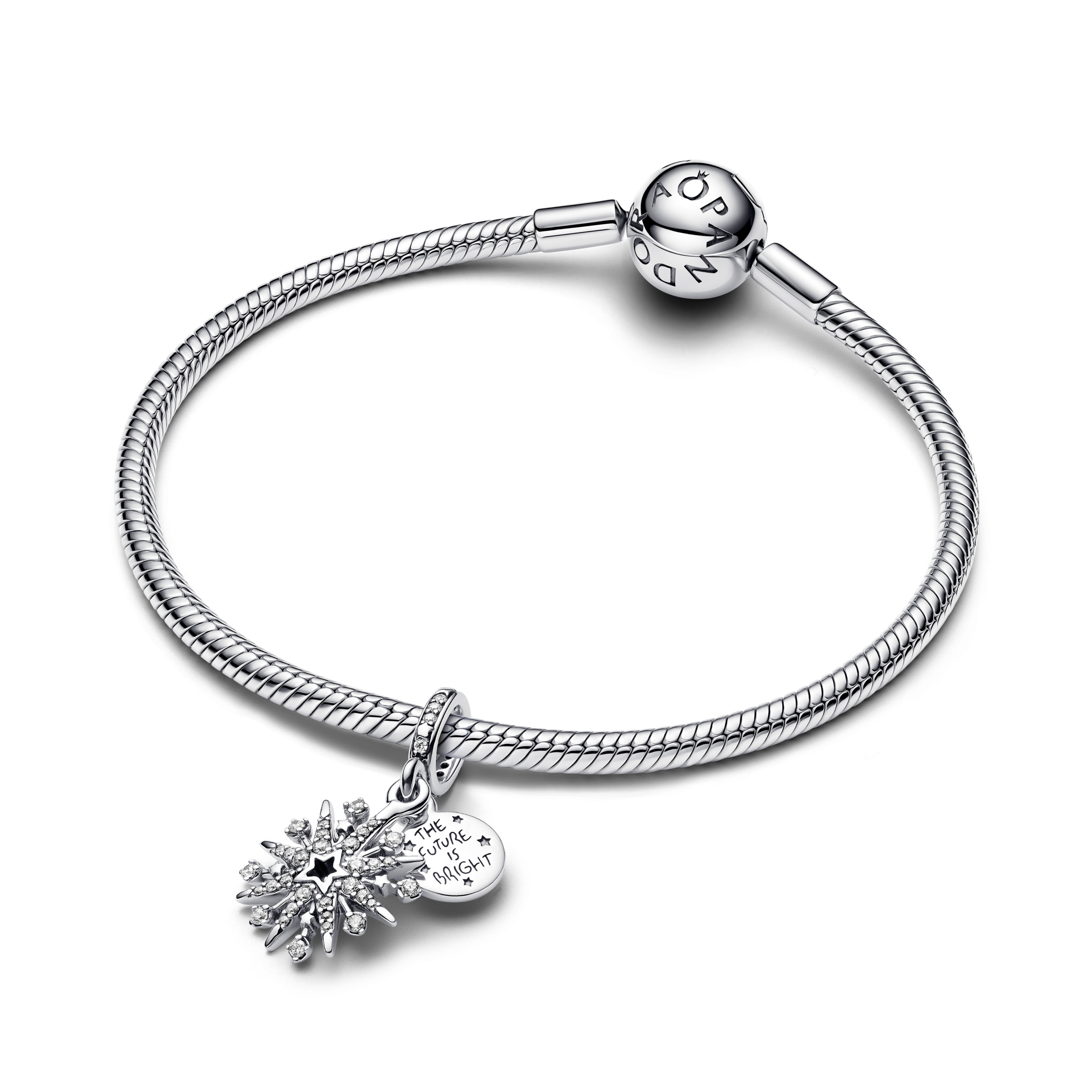 Pandora Moments Charm / 793512C01