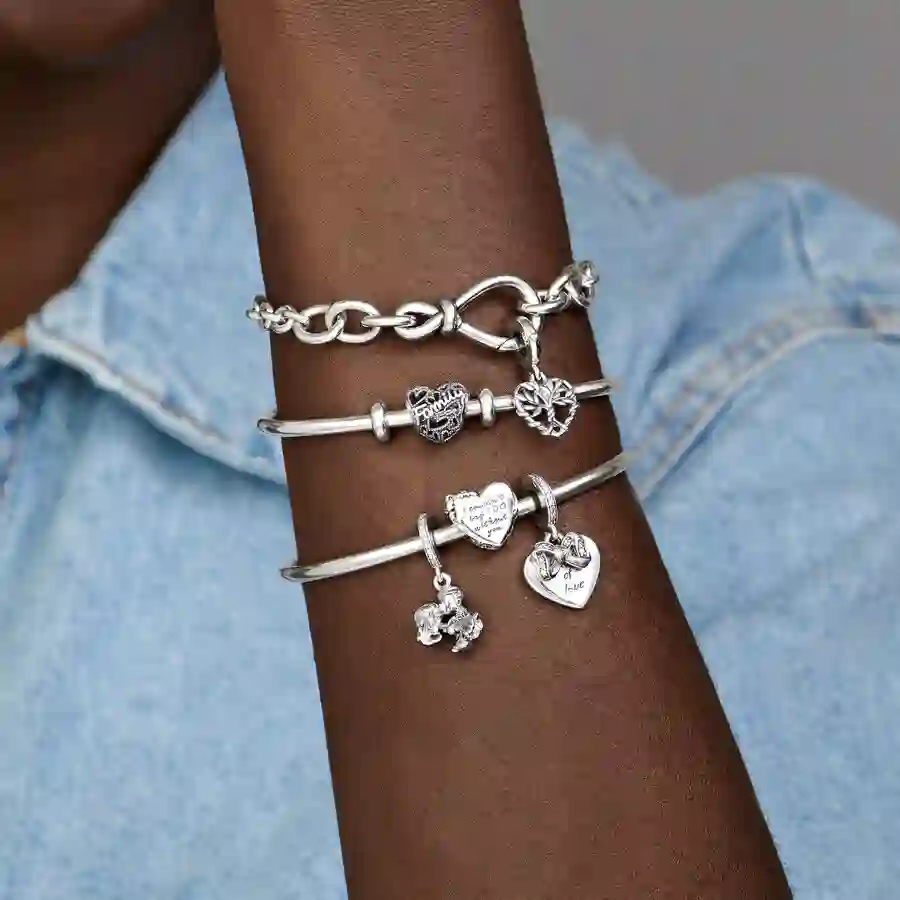 PANDORA Moments Charm / 798571C00