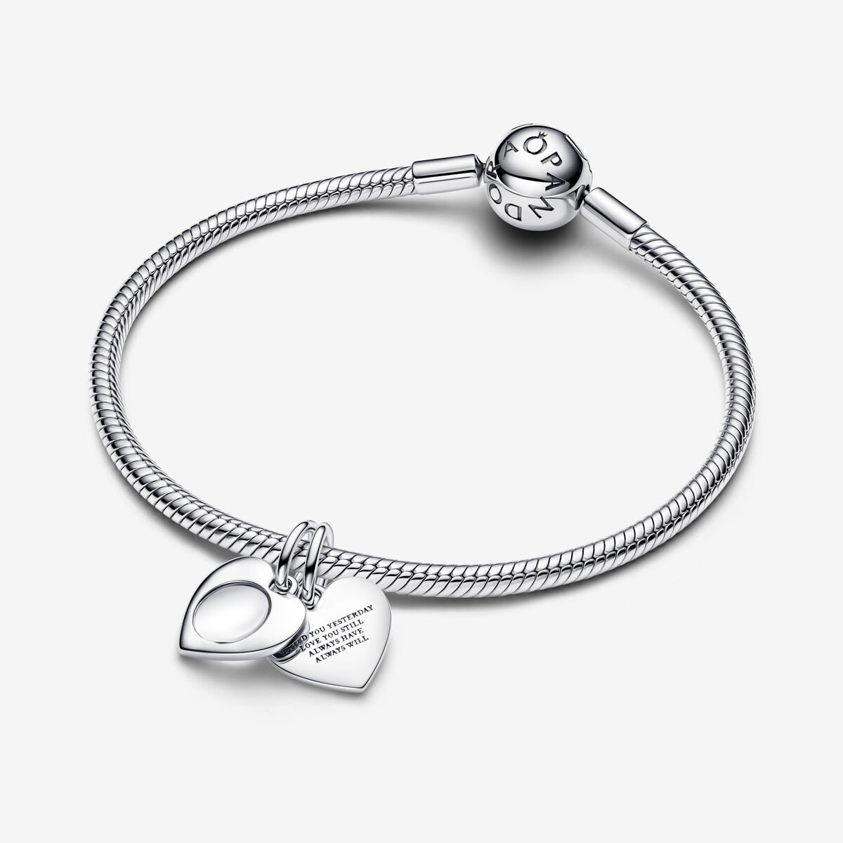 Pandora Moments Charm / 793671C00