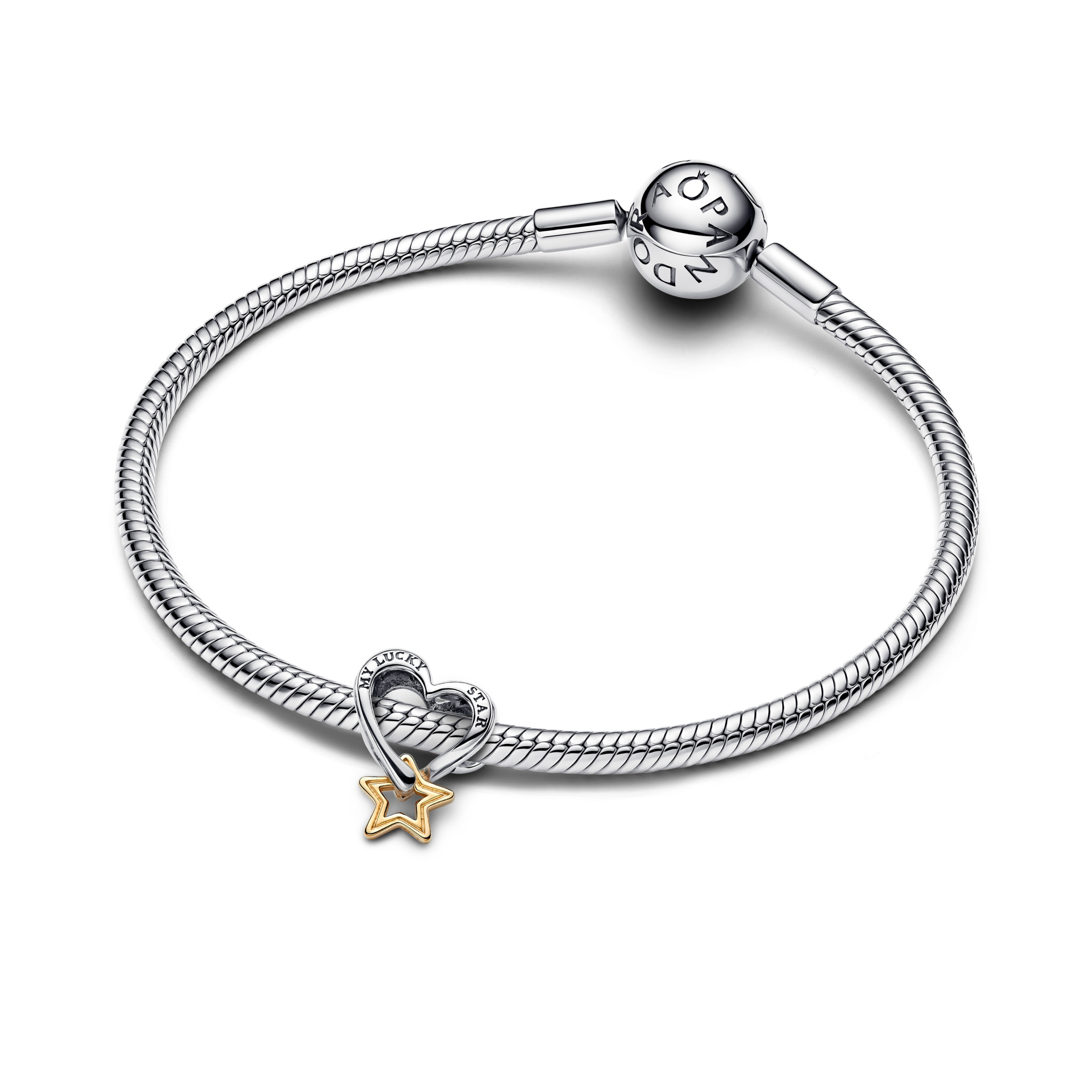 Pandora Moments Charm / 763513C00