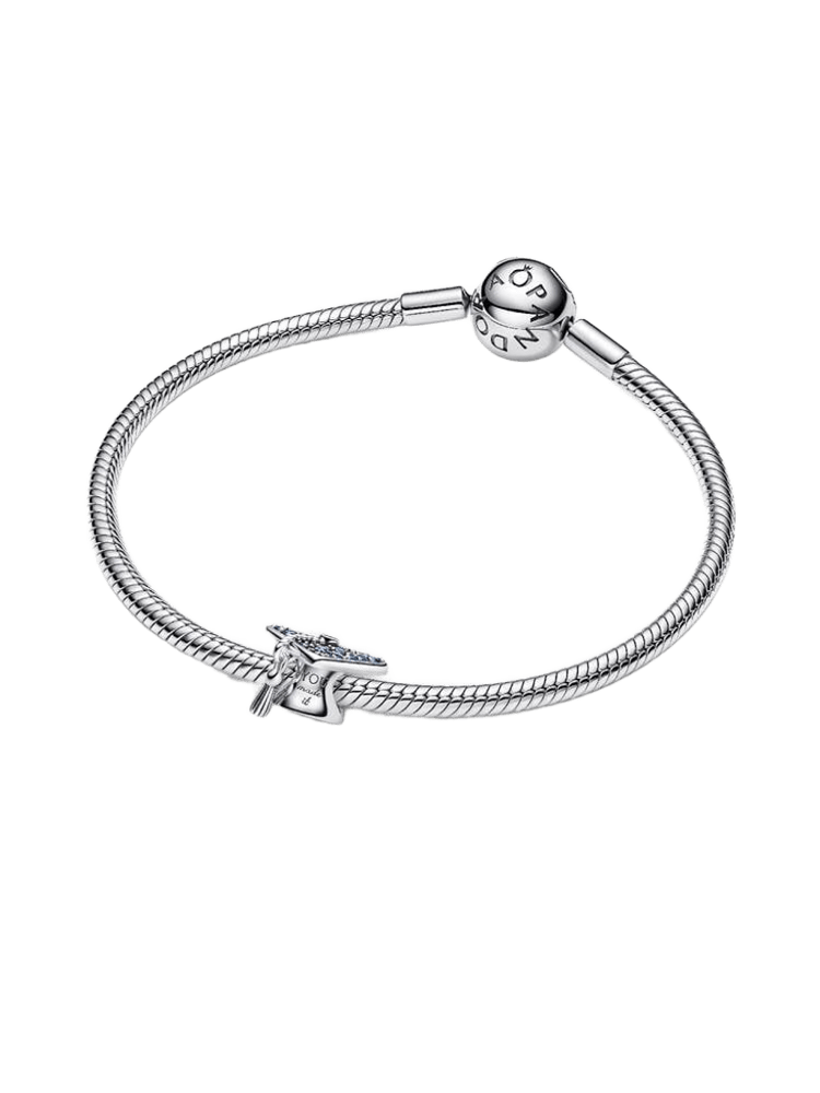 Pandora Moments Charm / 794461C01