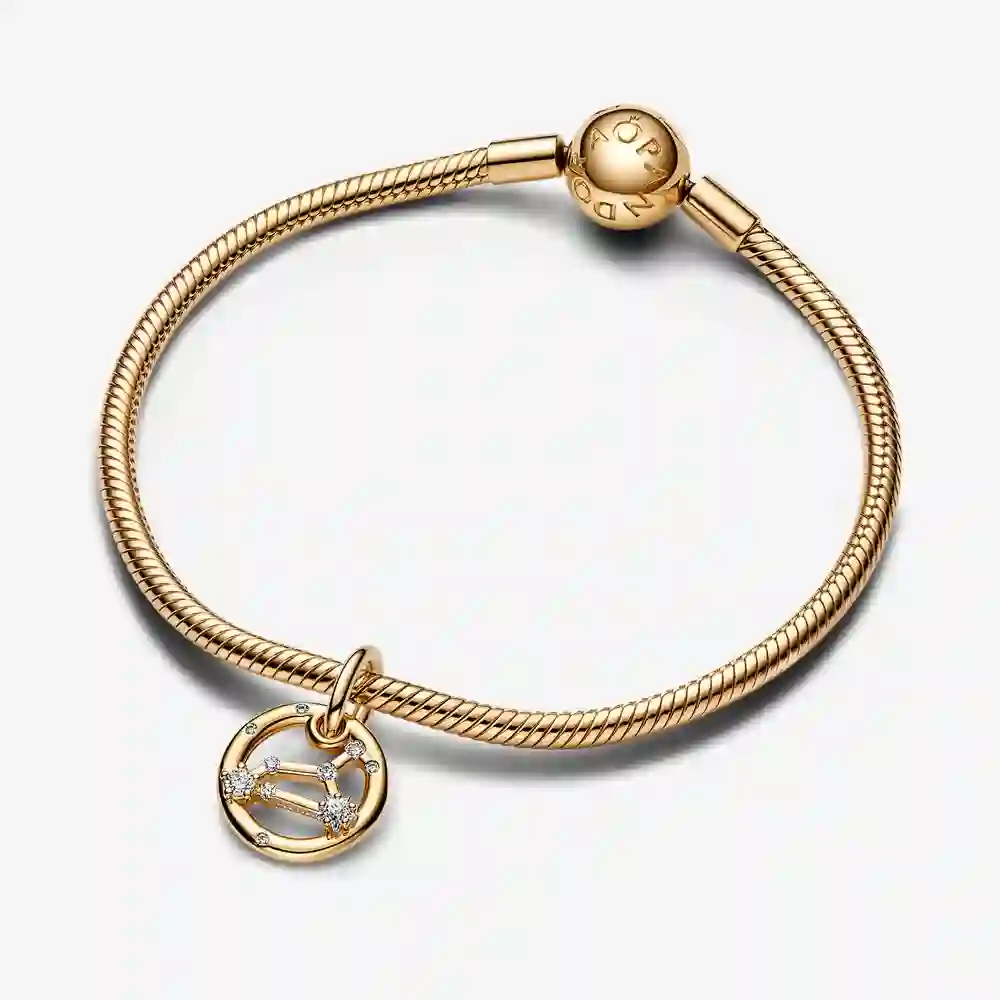 PANDORA Charm/762725C01