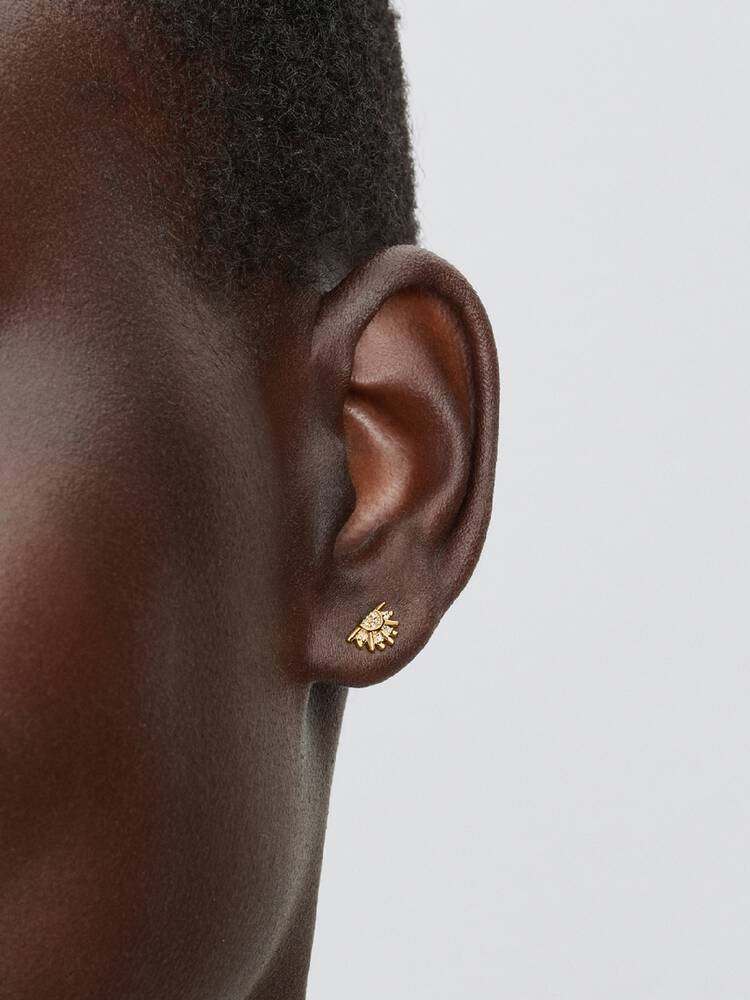 Earring / 264627C01