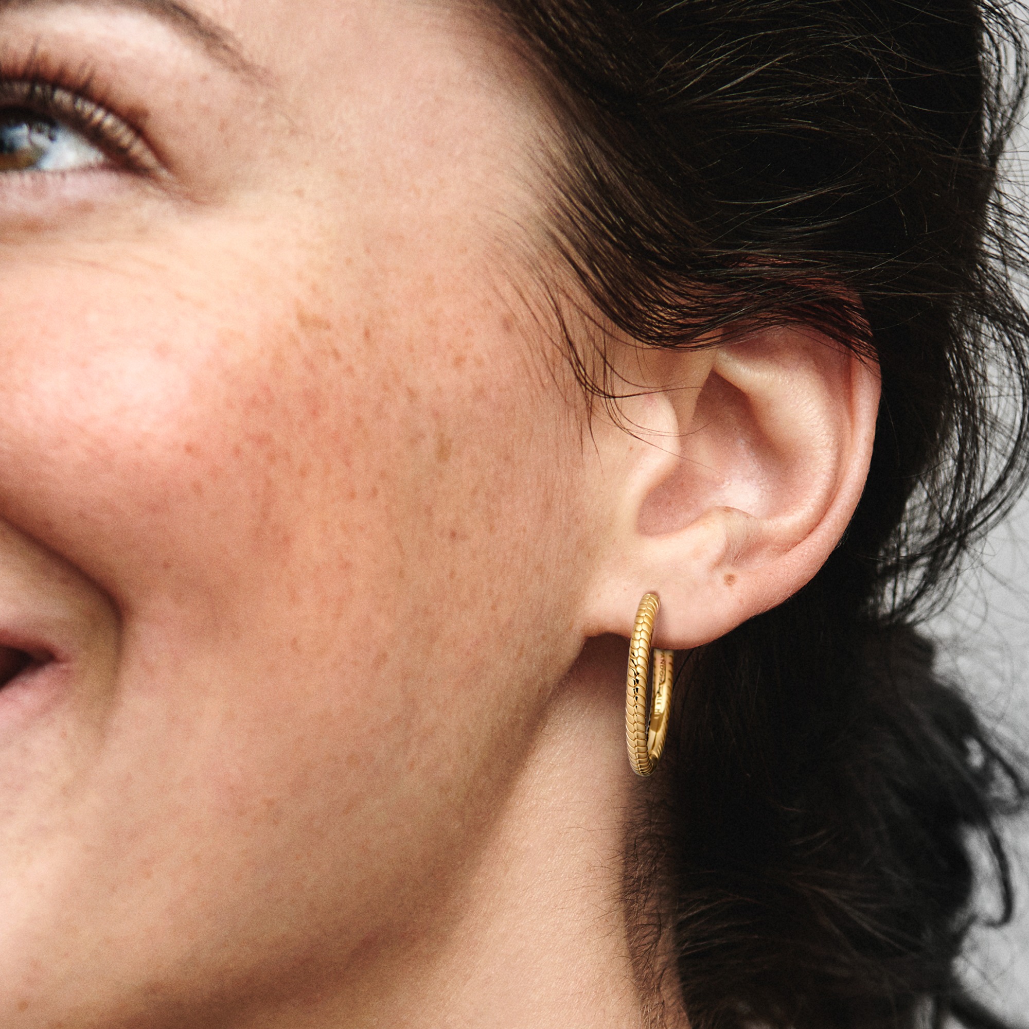 Snake chain pattern 14k gold-plated hoop earrings