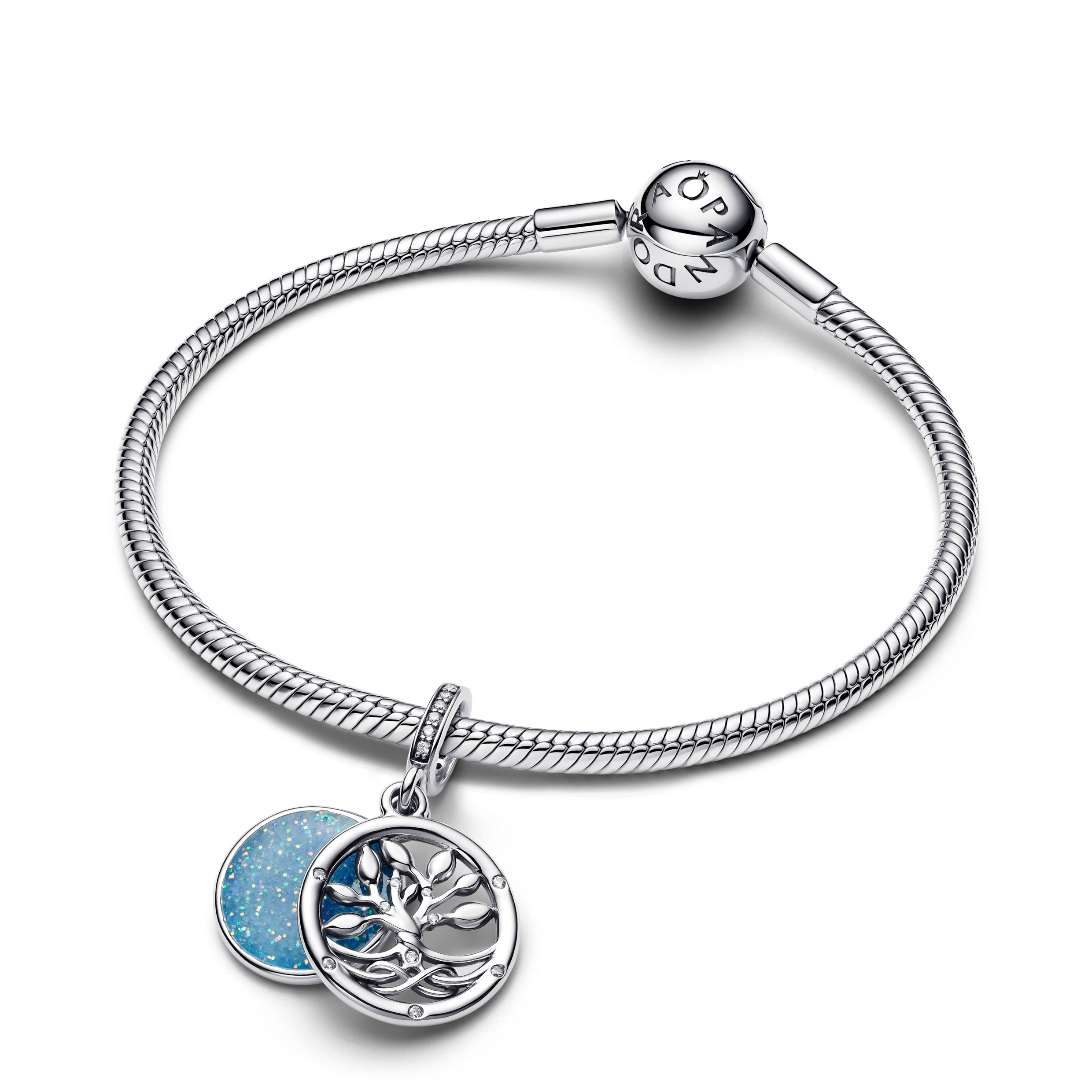 Pandora Moments Charm / 793599C01