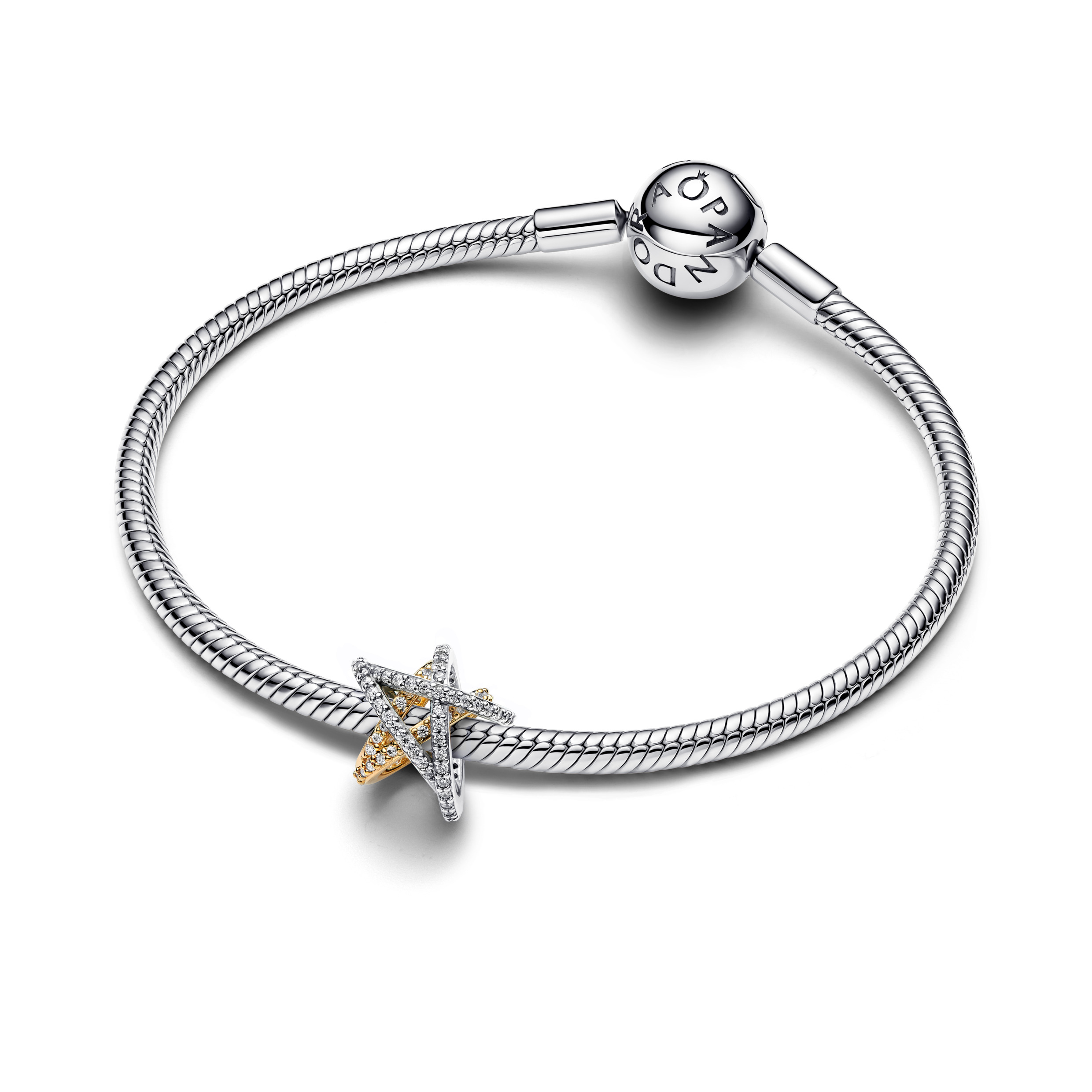 Pandora Moments Charm / 763590C01