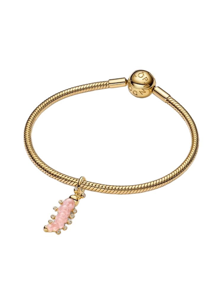 Pandora Moments Charm / 764489C01