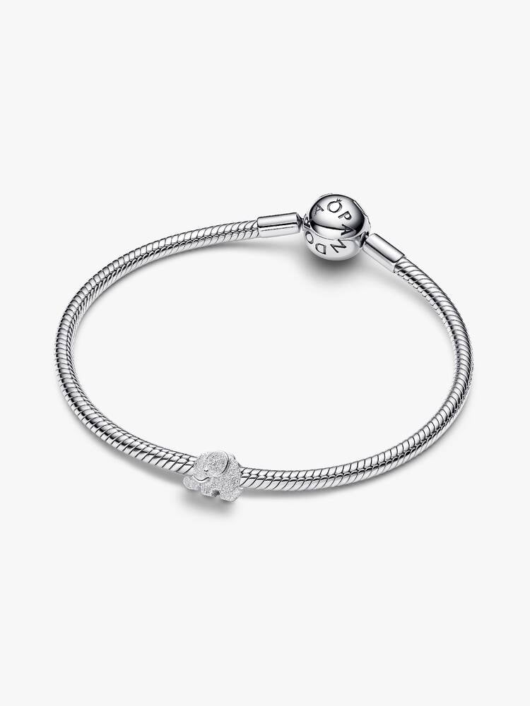 Pandora Moments Charm / 794528C00