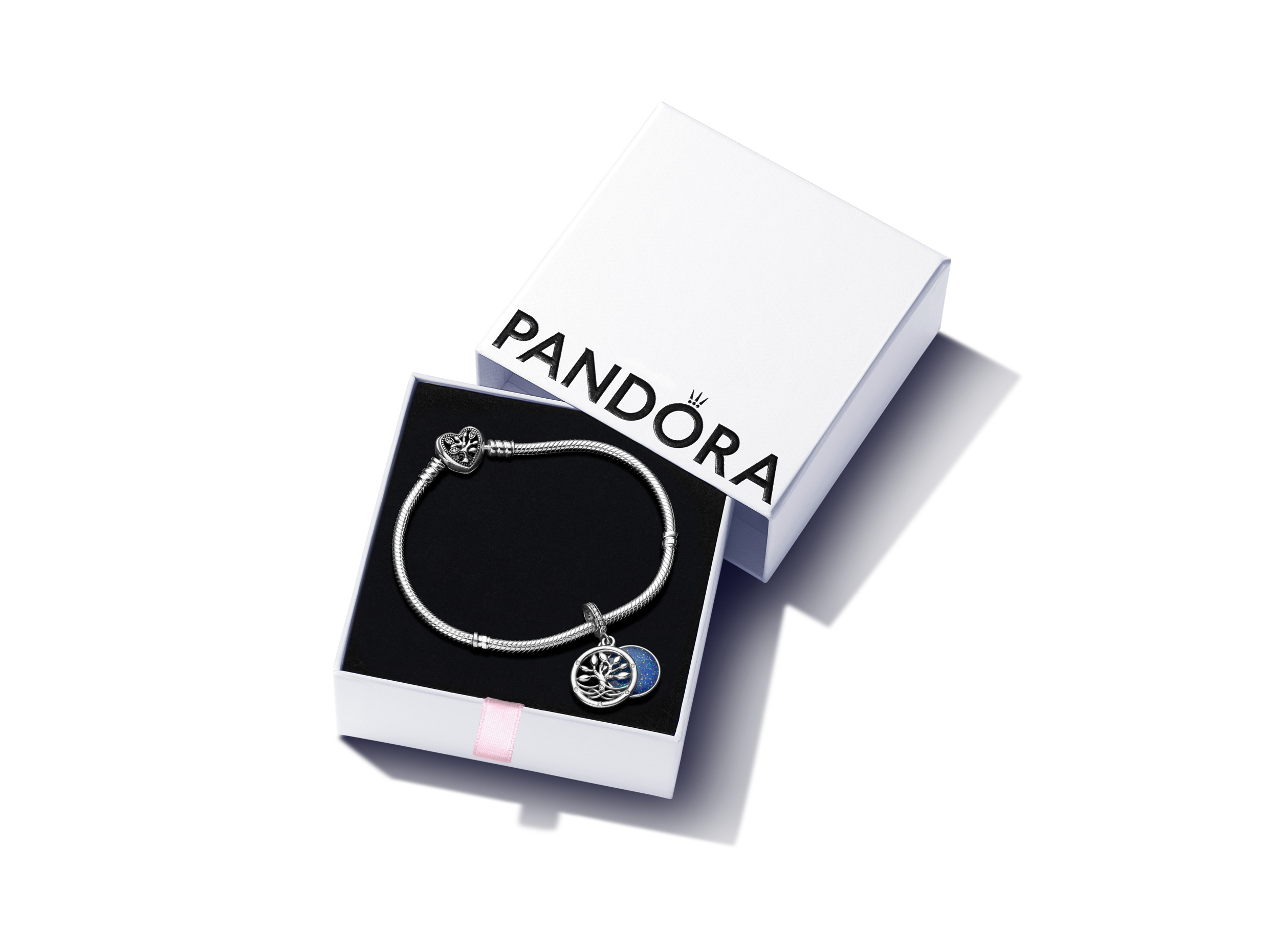 Pandora Moments Charm / 793599C01