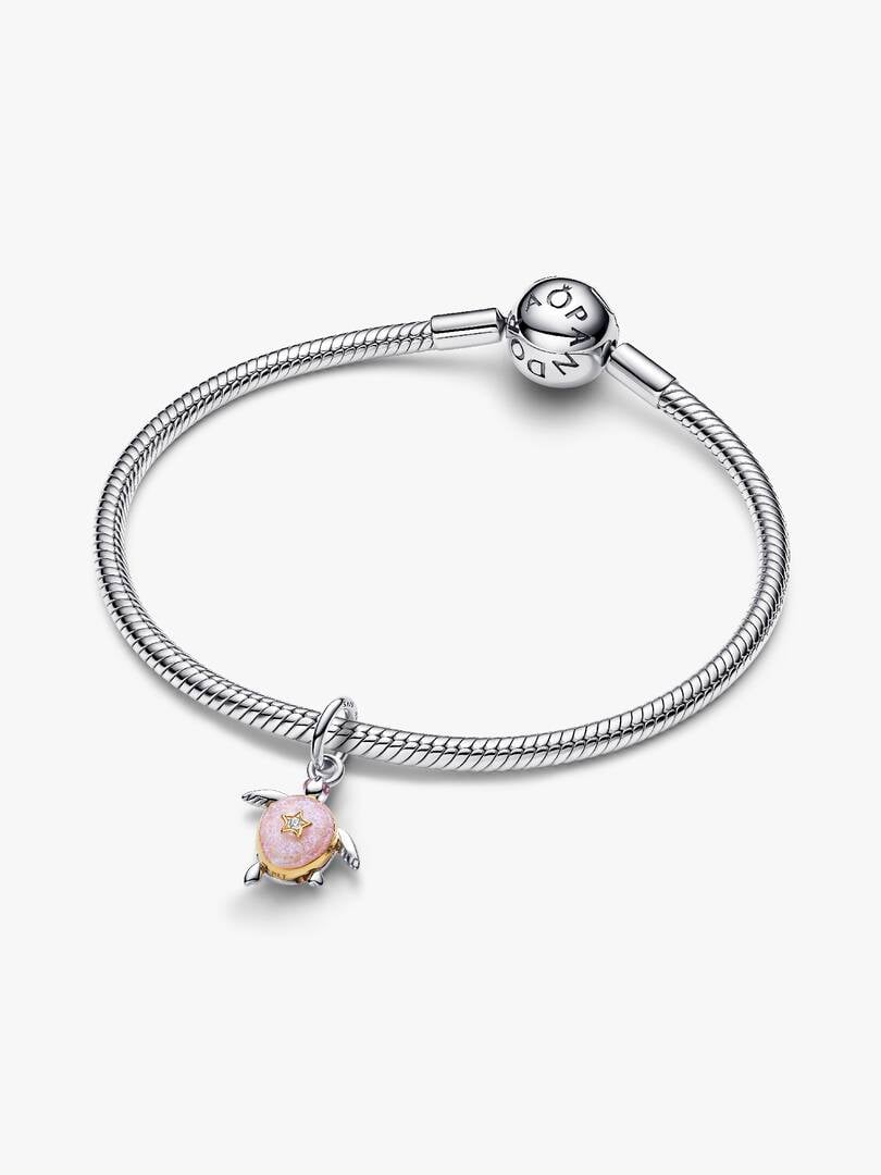 Pandora Moments Charm / 764432C01