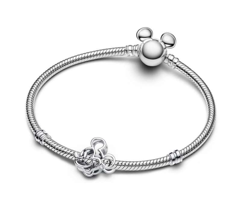 Pandora Disney Charm / 793907C00